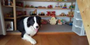 Sarari - Vacation STAY 66365v